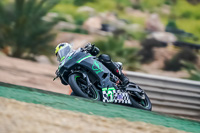 Green Group Silver_Grey Bikes